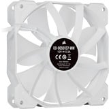 Corsair iCUE SP120 RGB ELITE Performance + Lighting Node CORE case fan Wit, 3 stuks, 4-pins PWM fan-connector