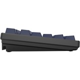 HelloGanss HS87T GC17 RGB mechanisch toetsenbord Zwart, US lay-out (QWERTY), Gateron G Pro Silver, 80% (TKL)	, RGB leds, PBT Doubleshot keycaps, hot swap, 2,4 GHz | Bluetooth | USB-C