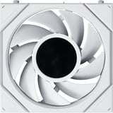 Lian Li UNI FAN TL LCD FLEX RGB case fan Wit, 124 x 120 x 28 mm, PWM