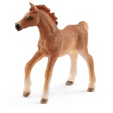 Schleich Horse Club - Veulen met deken speelgoedvoertuig 42361