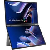 ASUS  21" monitor Zilver