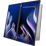 ASUS  21" monitor Zilver