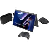 ASUS  21" monitor Zilver