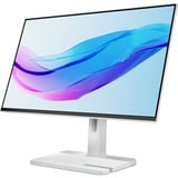 Lenovo L24m-4A 23.8" monitor Grijs, 1x HDMI 1.4, 1x USB-C, Audio
