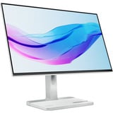 Lenovo L24m-4A 23.8" monitor Grijs, 1x HDMI 1.4, 1x USB-C, Audio