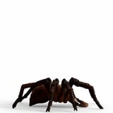 Schleich Harry Potter - Aragog speelfiguur 