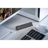 KLEVV 32 GB DDR5-5600 (2x 16 GB) Kit werkgeheugen Zwart, KD5AGU880-56K300L, FIT V, XMP 3.0, EXPO