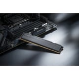 KLEVV FIT V 32 GB DDR5-5600 (2x 16 GB) werkgeheugen Zwart, KD5AGU880-56K300L, XMP 3.0, EXPO