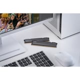 KLEVV FIT V 32 GB DDR5-5600 (2x 16 GB) werkgeheugen Zwart, KD5AGU880-56K300L, XMP 3.0, EXPO