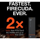 Seagate FireCuda 530 1 TB met heatsink SSD Zwart, ZP1000GM3A023, PCIe 4.0 x4, NVMe 1.4, M.2 2280