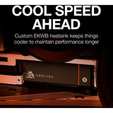 Seagate FireCuda 530 1 TB met heatsink SSD Zwart, ZP1000GM3A023, PCIe 4.0 x4, NVMe 1.4, M.2 2280