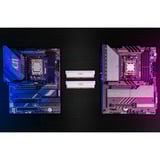 Crucial 32 GB DDR5-6400 (2x 16 GB) Dual-Kit werkgeheugen Wit, PRO, CP2K16G64C38U5W, XMP 3.0, EXPO