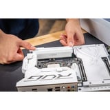 Crucial 32 GB DDR5-6400 (2x 16 GB) Dual-Kit werkgeheugen Wit, PRO, CP2K16G64C38U5W, XMP 3.0, EXPO