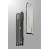 KLEVV 32 GB DDR5-6000 (2x 16 GB) Kit werkgeheugen Wit, KD5AGUA80-60A300I, BOLT V, XMP 3.0, EXPO