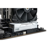 KLEVV BOLT V 32 GB DDR5-6000 (2x 16 GB) werkgeheugen Wit, KD5AGUA80-60A300I, XMP 3.0, EXPO