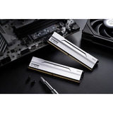 KLEVV BOLT V 32 GB DDR5-6000 (2x 16 GB) werkgeheugen Wit, KD5AGUA80-60A300I, XMP 3.0, EXPO