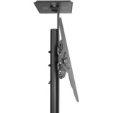 Neomounts PLASMA-M1700E TV trolley 32-70" bevestiging Zwart