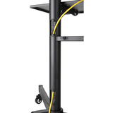 Neomounts PLASMA-M1700E TV trolley 32-70" bevestiging Zwart