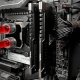 Patriot Viper Steel 32 GB DDR4-3600 (2x 16 GB) werkgeheugen Grijs, PVS432G360C8K, XMP 2.0