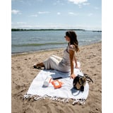 Whoosh! Screen Shine Wipes (90 stuks) reinigingsdoek Wit/oranje