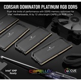 Corsair 32 GB DDR5-5600 Kit werkgeheugen Zwart, CMT32GX5M2B5600C36, Dominator Platinum RGB, XMP