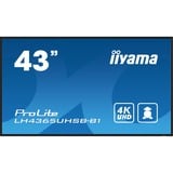 iiyama ProLite LH4365UHSB-B1 42.5" 4K Ultra HD Public Display Zwart, HDMI, DisplayPort, LAN, Audio, USB, WiFi, Android