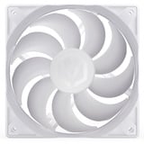 ENDORFY  case fan Wit