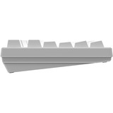 HelloGanss HS75T White RGB mechanisch toetsenbord Wit, US lay-out (QWERTY), TTC-Switches, 75%, RGB leds, PBT Doubleshot keycaps, hot swap, 2,4 GHz | Bluetooth | USB-C