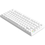 HelloGanss HS75T White, toetsenbord Wit, US lay-out, TTC-Switches, 75%, RGB leds, PBT Doubleshot keycaps, hot swap, 2,4 GHz / Bluetooth / USB-C