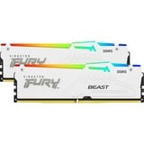 Kingston FURY Beast RGB 16 GB DDR5-5600 (1x 16 GB) werkgeheugen Wit, KF556C40BWA-16, XMP 3.0