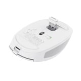 Trust Ozaa Compact Draadloze Muis Oplaadbaar Wit, 800-3200 Dpi, 2.4GHz, Bluetooth, Stille Knoppen