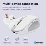 Trust Ozaa Compact Draadloze Muis Oplaadbaar Wit, 800-3200 Dpi, 2.4GHz, Bluetooth, Stille Knoppen