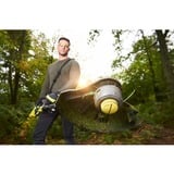 Ryobi MAX POWER Expand-It Grastrimmer Groen/zwart