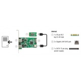 DeLOCK Converter M.2 Key B+M male > 2 x Gigabit LAN netwerkadapter Low Profile