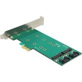 DeLOCK PCI Express Card > 2 x internal M.2 Key B 110 mm - Low Profile Form Factor adapter 