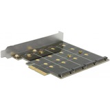 DeLOCK PCI Express Card > 4 x internal M.2 Key B RAID raid-kaart 