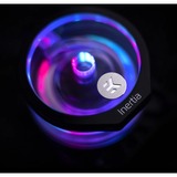 EKWB EK Quantum Inertia D5 PWM D-RGB Plexi pomp Transparant/zwart