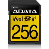 ADATA Premier ONE SDXC, 256 GB geheugenkaart UHS II U3 Class 10