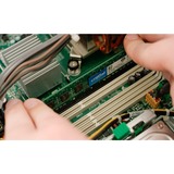 Crucial 16 GB DDR4-3200 (1x 16 GB) werkgeheugen CT16G4DFRA32A