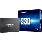 GIGABYTE SSD, 1 TB SSD SATA/600, GP-GSTFS31100TNTD