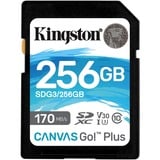 Kingston Canvas Go! Plus SDXC 256 GB geheugenkaart Zwart, UHS-I U3, Class 10, A2