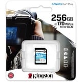 Kingston Canvas Go! Plus SDXC 256 GB geheugenkaart Zwart, UHS-I U3, Class 10, A2