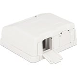 DeLOCK Keystone Surface Mounted Box 2 Port behuizing Wit