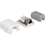 DeLOCK Network Wall Outlet 1 Port Cat.6A LSA montagedoos Wit