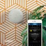 Fibaro CO Sensor gasmelder Wit, Apple Homekit