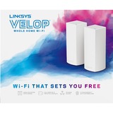 Linksys VELOP Two pack mesh router Wit