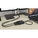 i-tec USB-C 3.2 Gen 2 naar 2x DisplayPort adapter Zwart, 0,3 meter, 4K