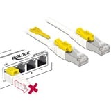 DeLOCK Cat.6a netwerkkabel Wit, 5 meter, S/STP, RJ-45