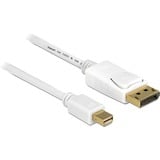 DeLOCK Mini DisplayPort > DisplayPort adapter Wit, 3 meter