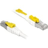DeLOCK Netwerkkabel RJ-45 Secure met Cat.6a Wit, 85335, 5 meter